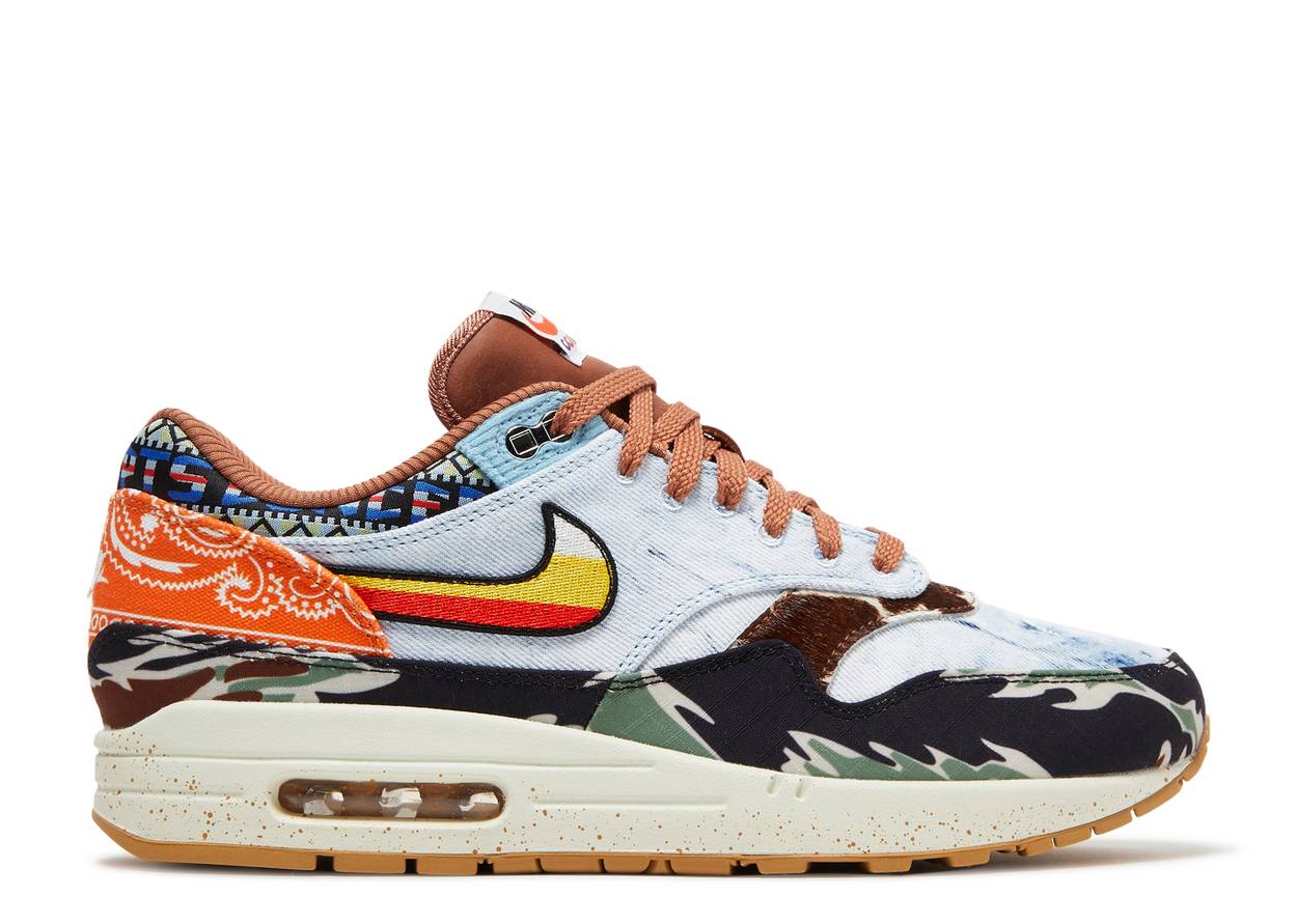 Nike Air Max 1 SP Concepts Heavy