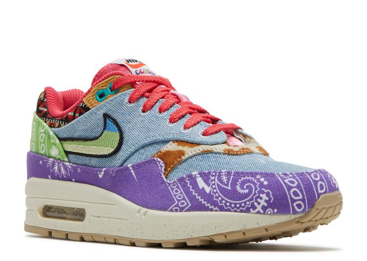 Nike Air Max 1 SP Concepts Heavy