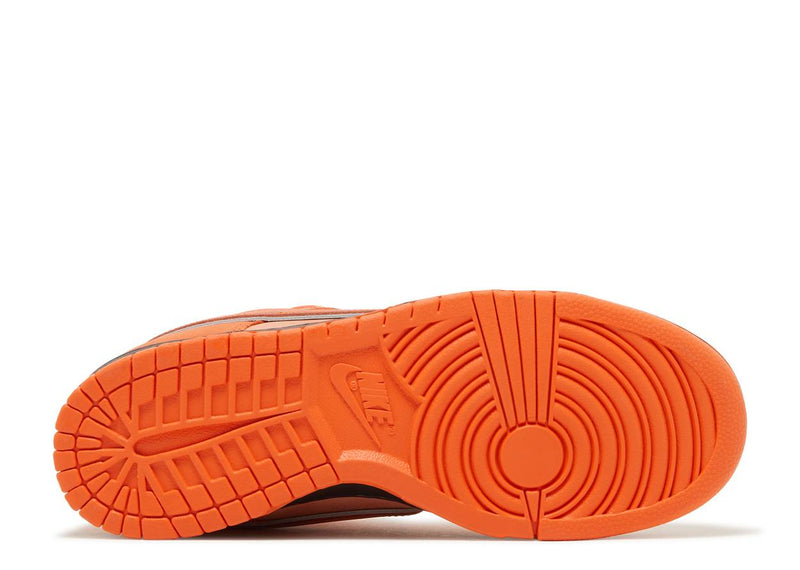 Nike SB Dunk Low Concepts Orange Lobster
